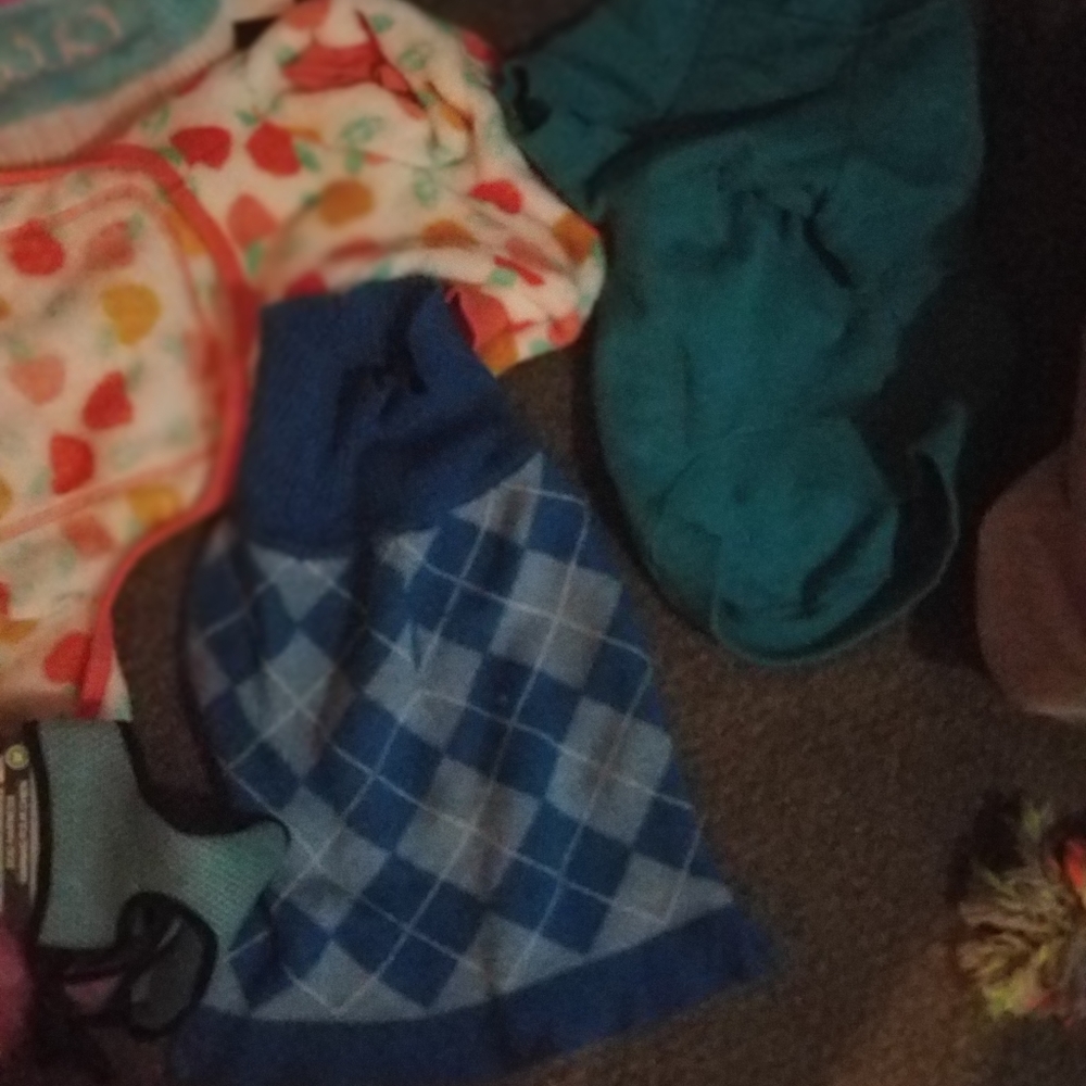 Dog clothes - Picture 4 of 8